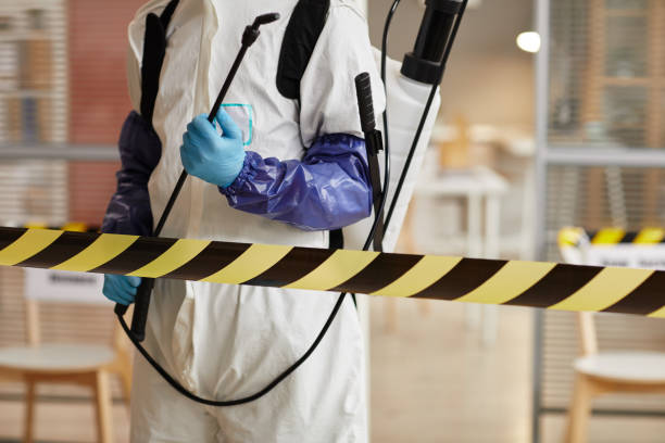 Professional Sewage Cleanup technician working in Live Oak, FL